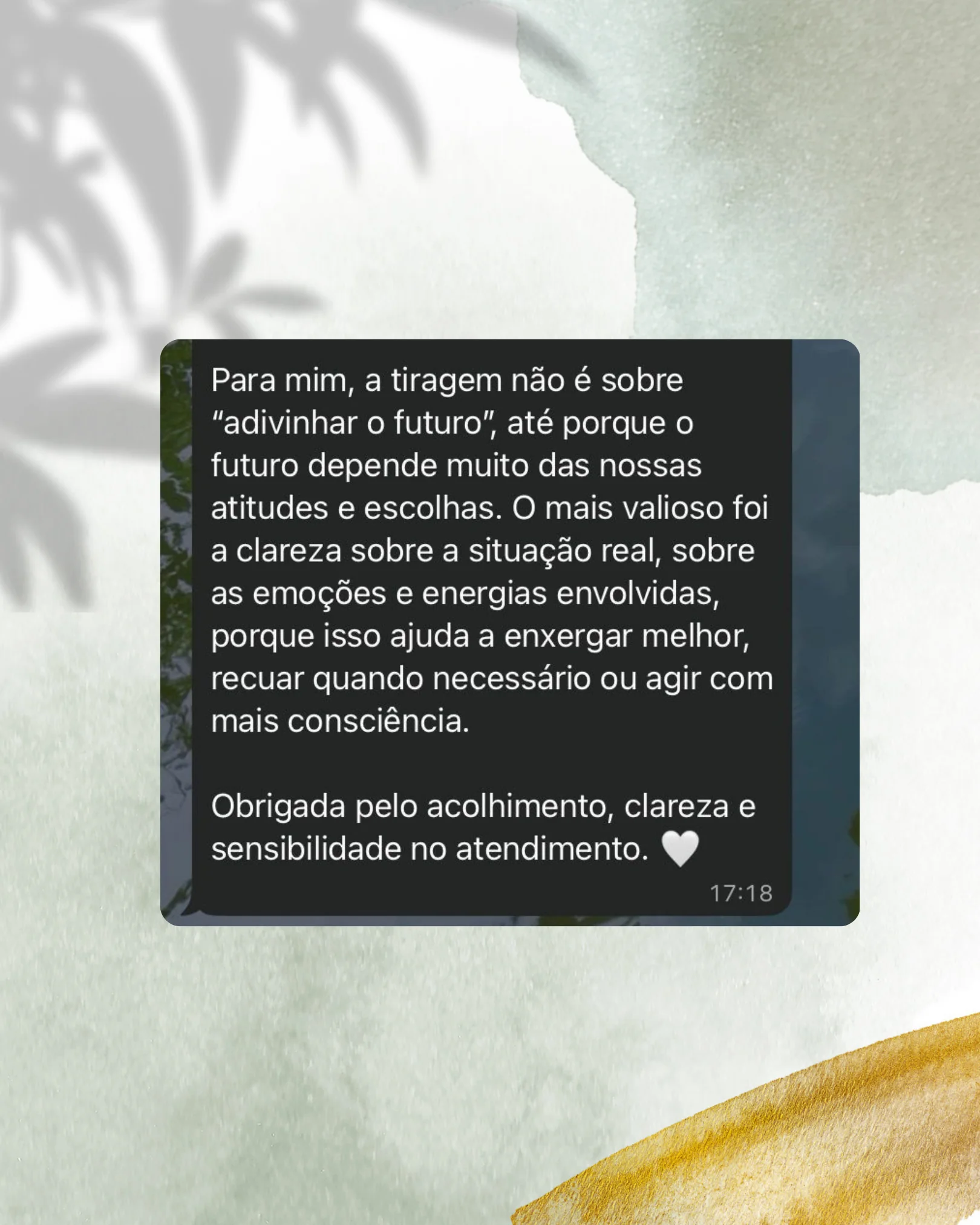 Depoimento 5 (parte 2)