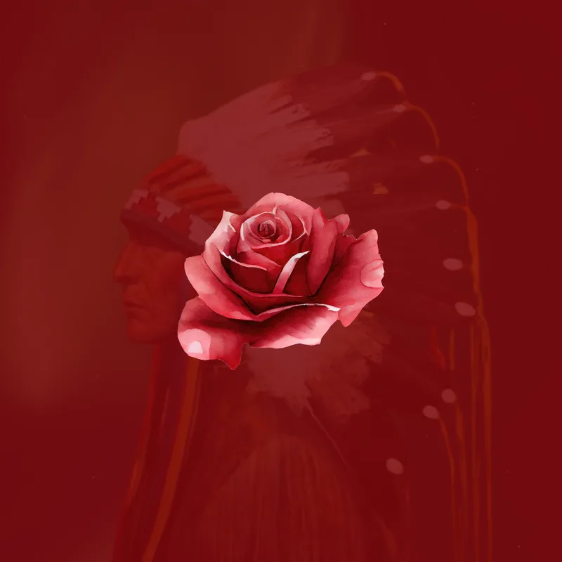 Rosa de Vênus